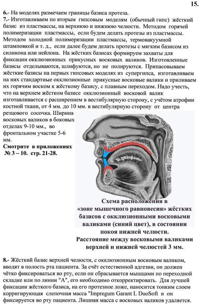 515.jpg