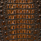 R4.jpg